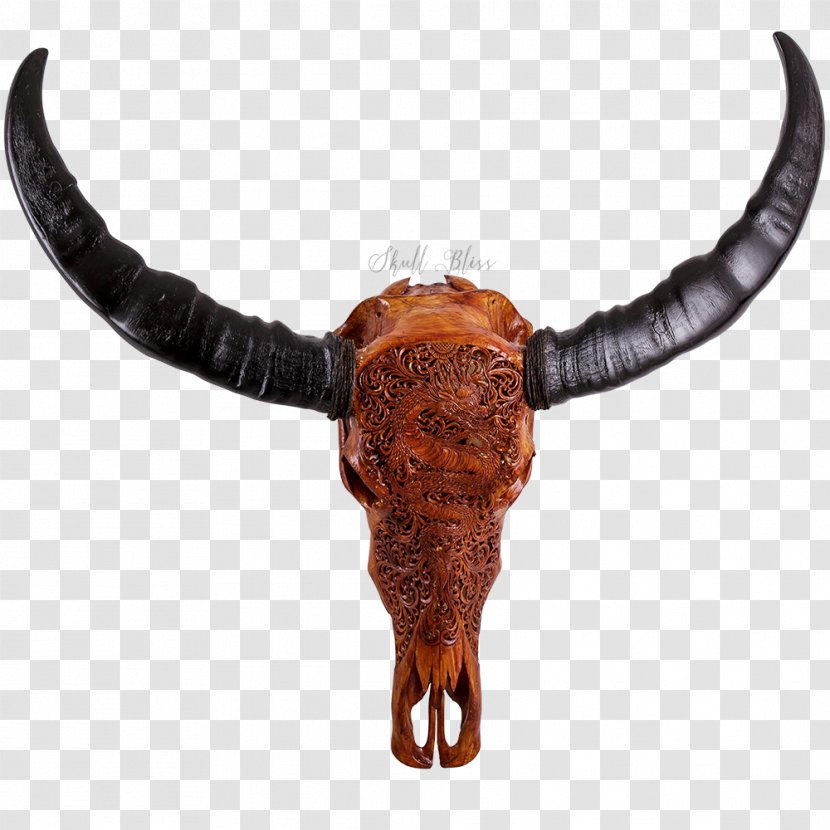 Texas Longhorn Water Buffalo Skull English - Cattle Like Mammal Transparent PNG