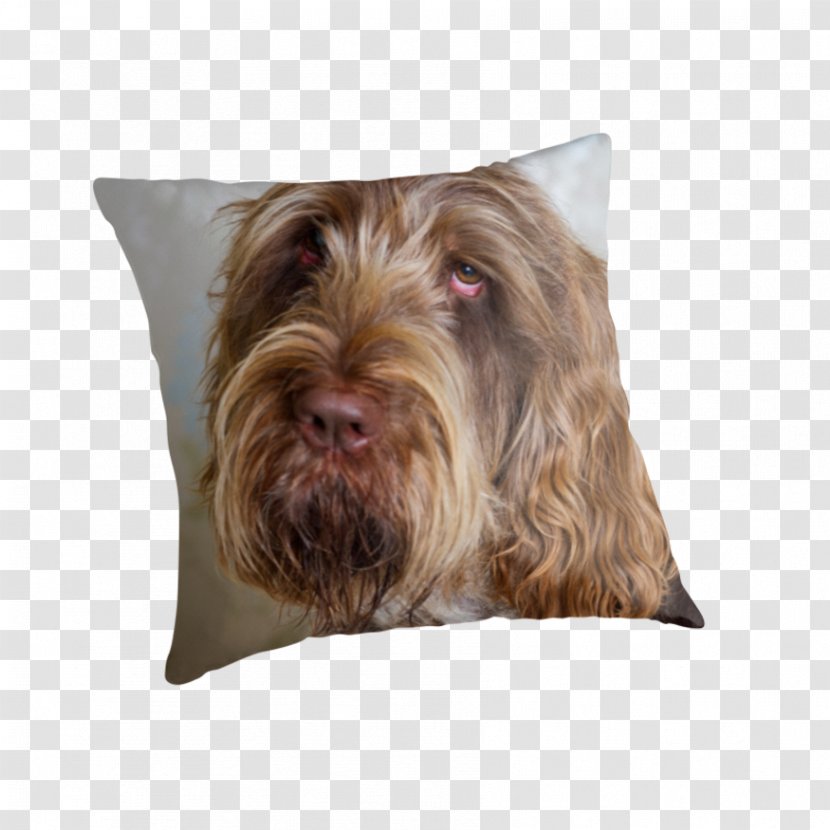 Glen Wirehaired Pointing Griffon Sussex Spaniel Otterhound Bearded Collie - Dog Head Transparent PNG