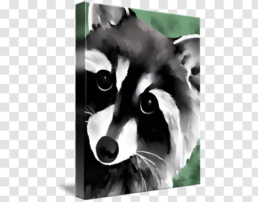 The Raccoon Watercolor Painting Art - Decorative Arts - Paint Transparent PNG