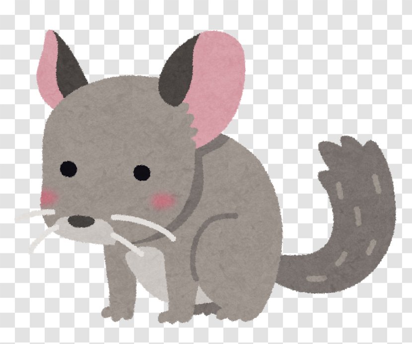 Long-tailed Chinchilla ネズミ Cat Whiskers Pet - Animal Transparent PNG