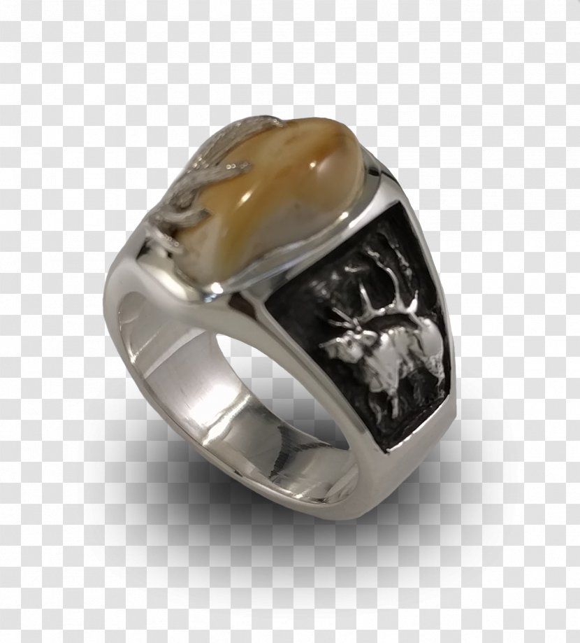 Wedding Ring Elk Jewellery Ivory Transparent PNG