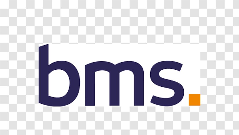 Logo Trademark Font Text Product - Industrial Design - Bms Transparent PNG