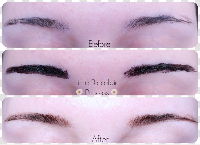 Eyebrow Eyelash Cosmetics Color - Tints And Shades - Bushy Eyebrows Transparent PNG