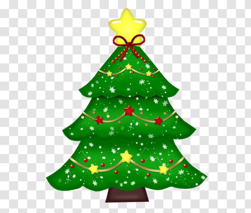 Christmas Tree Fir Ornament - Spruce - Color Cartoon Transparent PNG