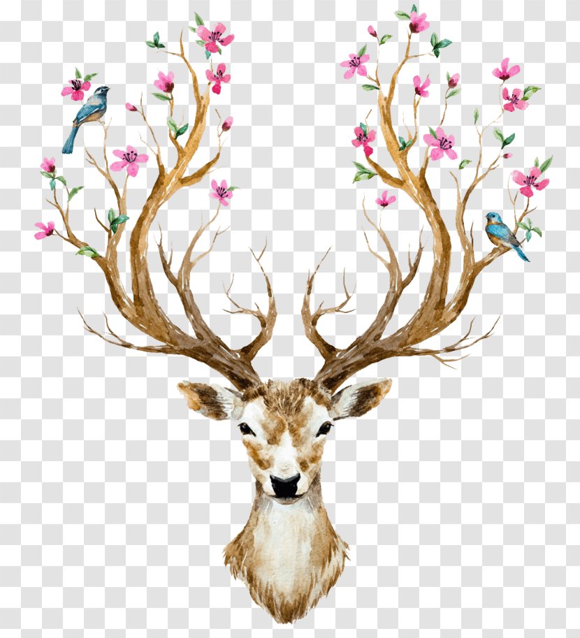 Deer Antler Wall Decal Horn Flower - Floral Design - Elk Transparent PNG