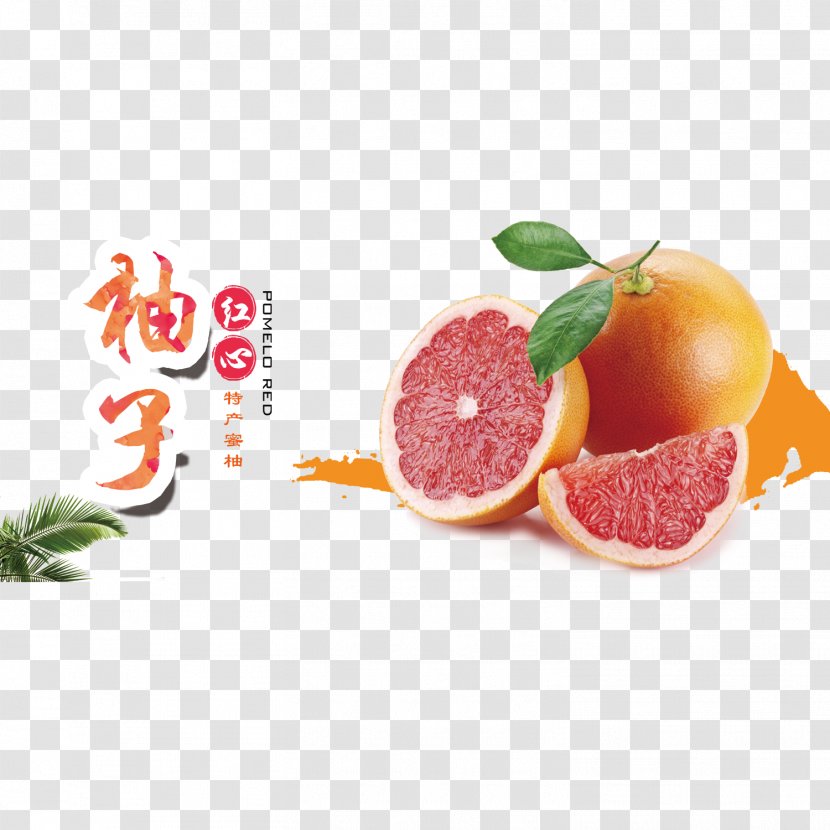 Pomelo Grapefruit Juice Tangerine - Red Poster Design Transparent PNG