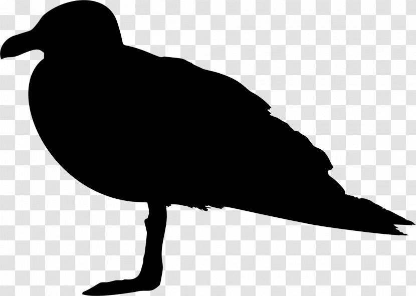 Beak Clip Art Silhouette Fauna - Blackbird Transparent PNG