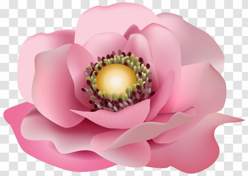 Pink Flowers Clip Art - Flower Transparent Image Transparent PNG