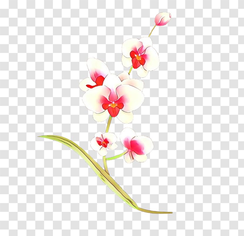 Flowering Plant Flower Pedicel Pink - Orchid Cut Flowers Transparent PNG