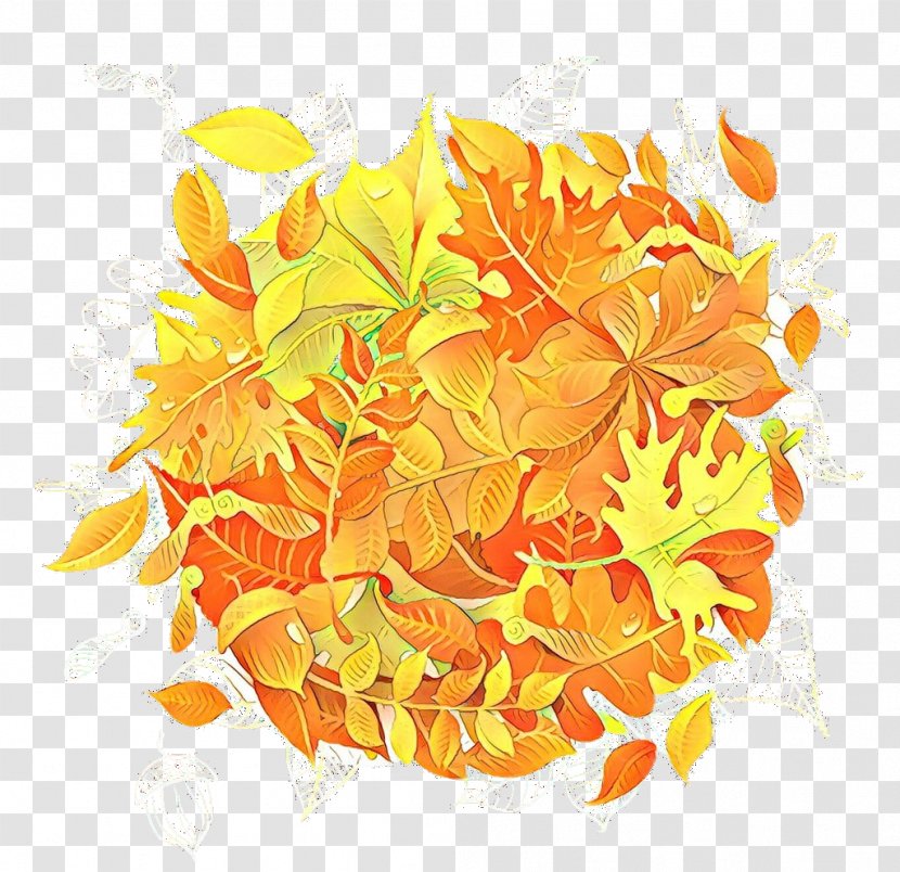 Orange - Flower - Plant Transparent PNG