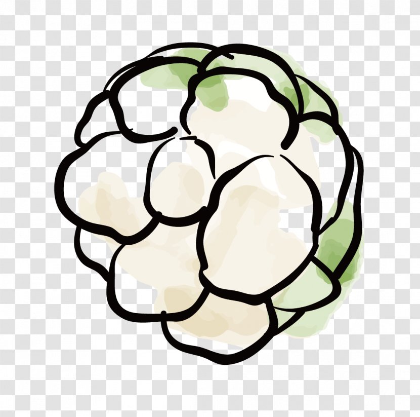 Cauliflower Vegetable Hwachae - Flat Design Transparent PNG