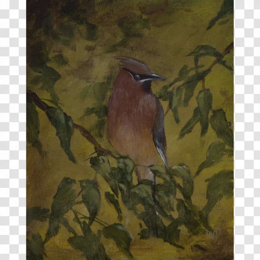 Watercolor Painting Cedar Waxwing Beak Art Museum - Branch Transparent PNG