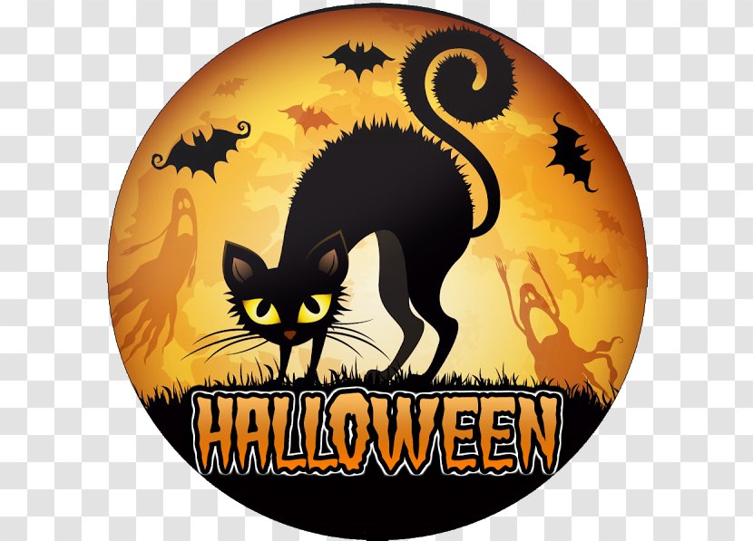 Black Cat Halloween Kitten Costume Transparent PNG