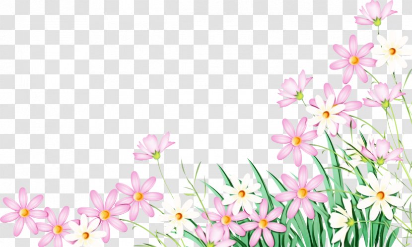 Pink Flower Cartoon - Pedicel - Perennial Plant Transparent PNG