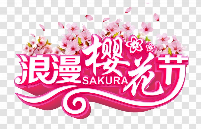 National Cherry Blossom Festival - Flower - Broken Transparent PNG