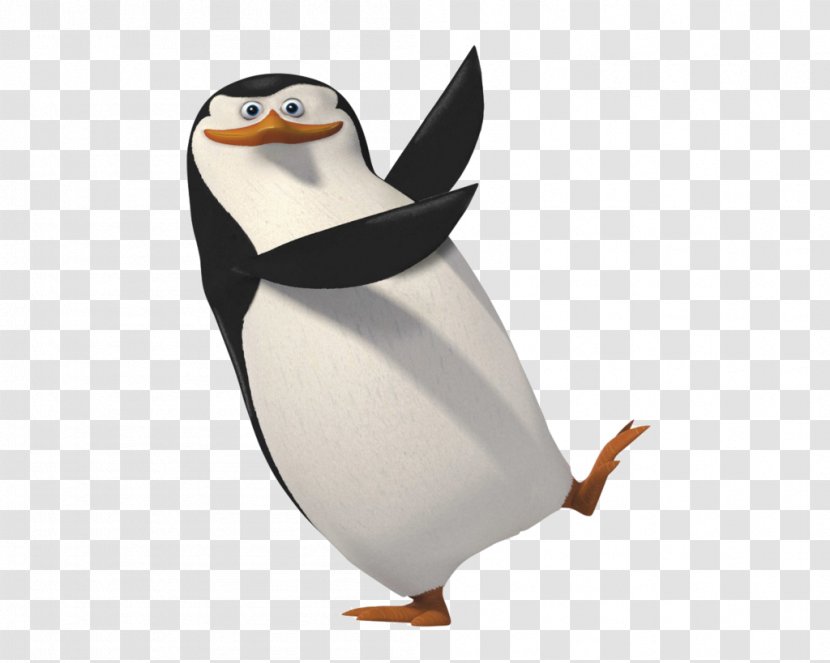 Penguin Madagascar Rico Clip Art - Happy Feet Transparent PNG