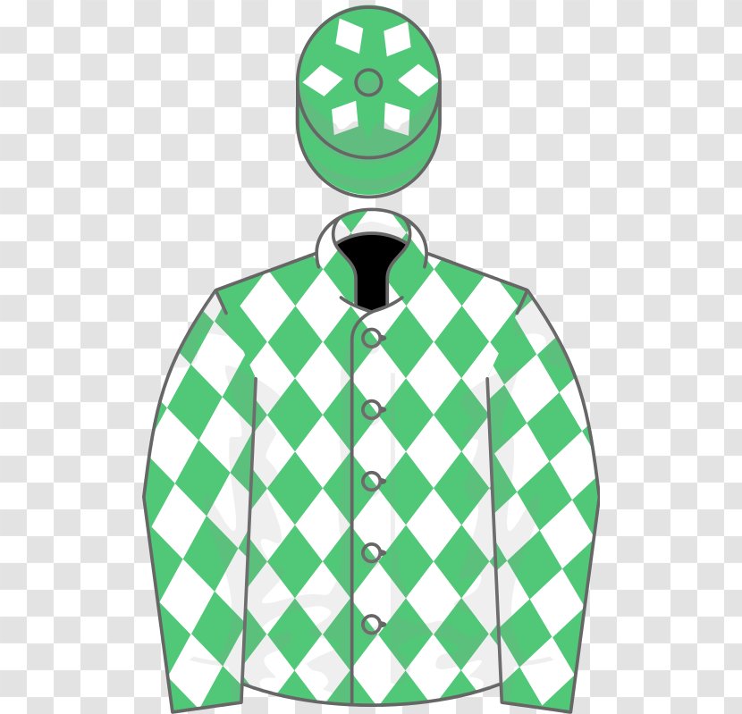 Centenary Novices' Handicap Chase Horse Topham National Hunt Racing Steeplechase - Handbag Transparent PNG