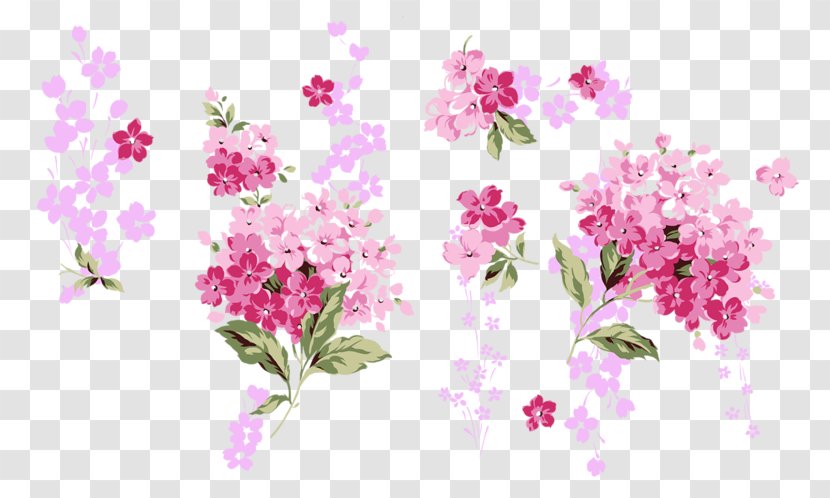 Flower Clip Art - Blossom - Hand-painted Peach Transparent PNG