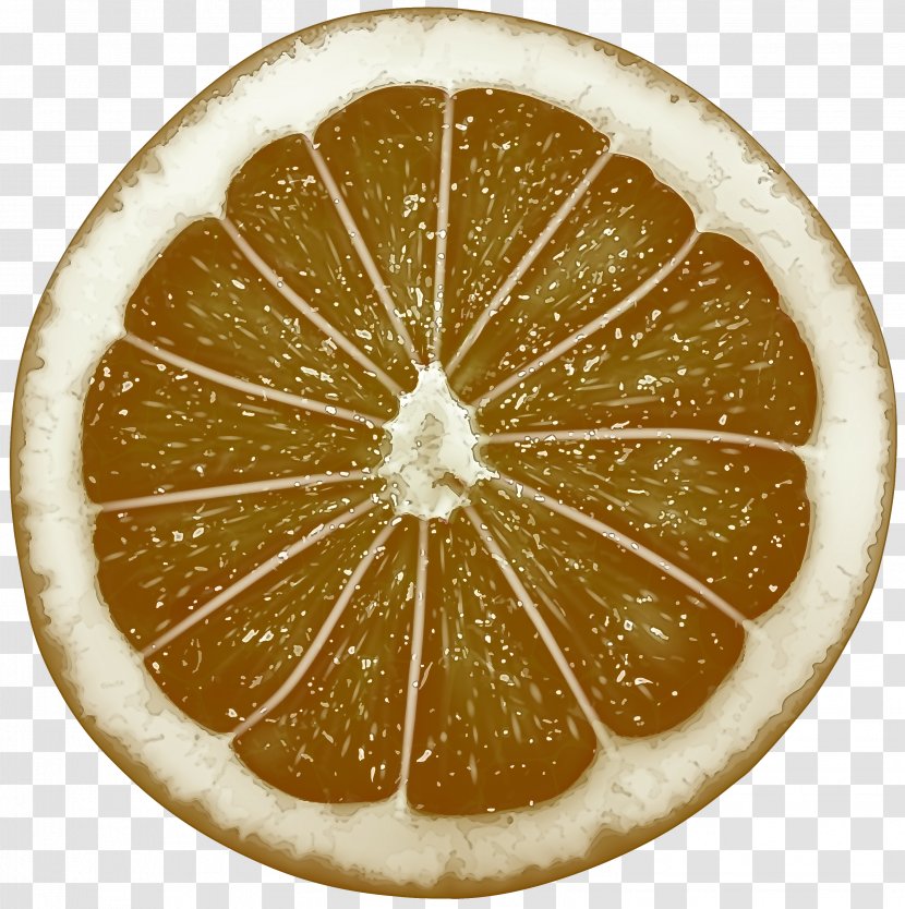 Citrus Lemon Lime Grapefruit Fruit - Plant - Citric Acid Transparent PNG