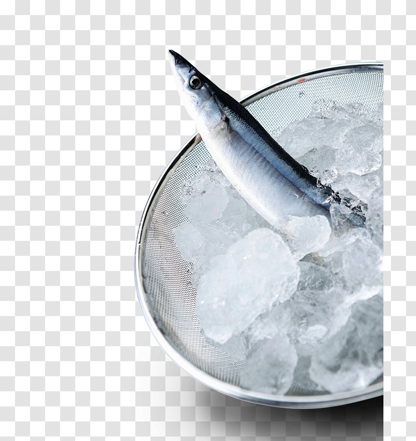 Seafood Seawater - Saltwater Fish - Frozen Transparent PNG