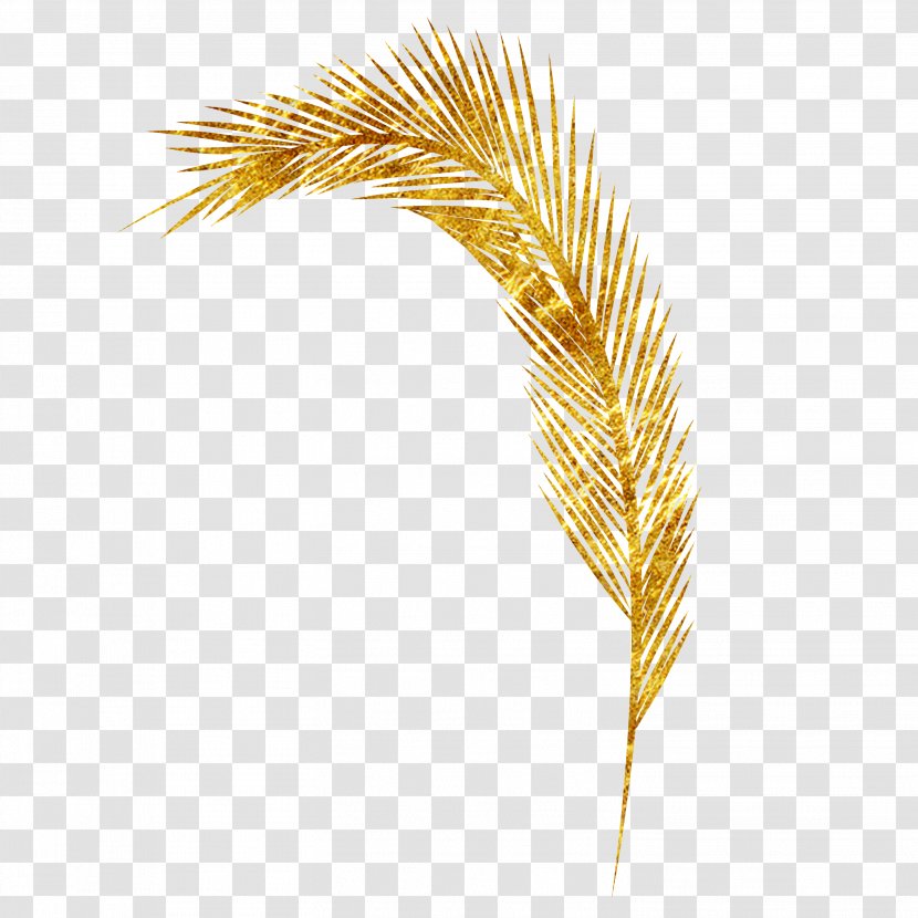 Yellow Commodity Grasses Family Pattern - Feather - Wheat Transparent PNG