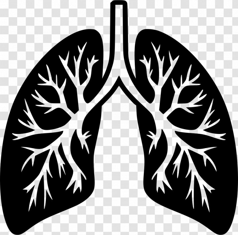Breathing File Format - Cartoon - Lung Transparent PNG