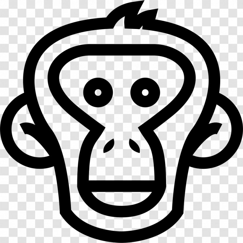 Ape Monkey Primate - Head - Face Transparent PNG