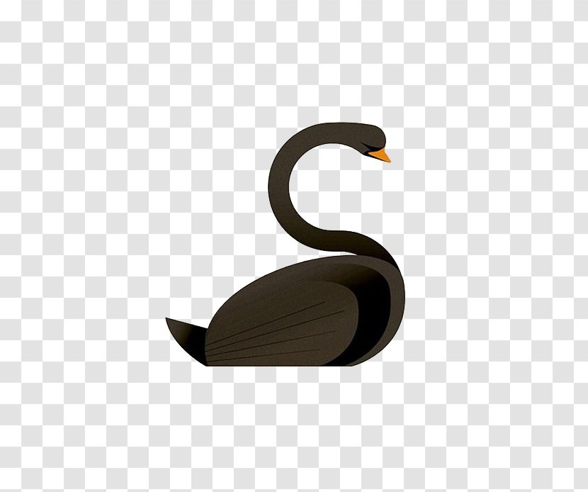 Animal Alphabet Letter Cygnini Illustration - Black Swan Transparent PNG
