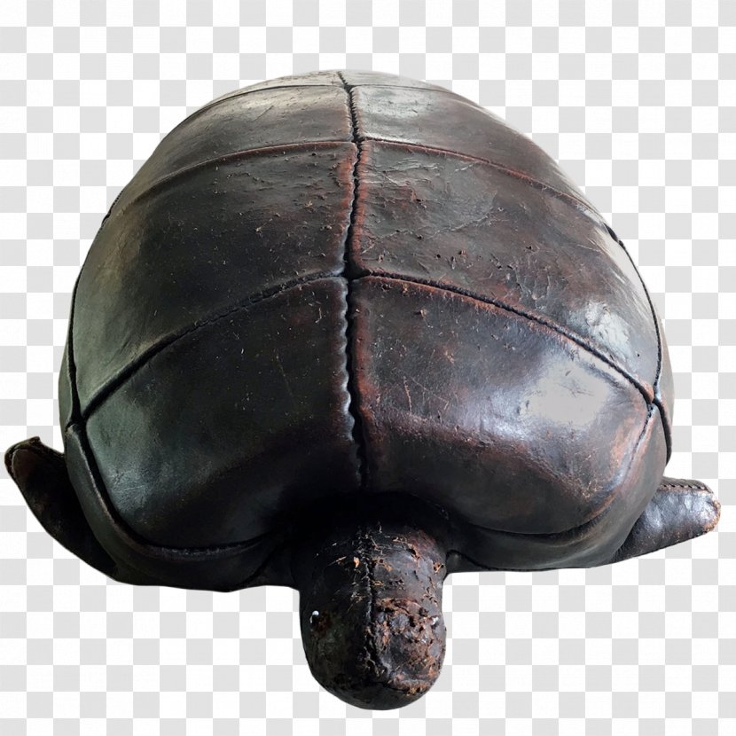 Tortoise Pond Turtles Sea Turtle Helmet Transparent PNG