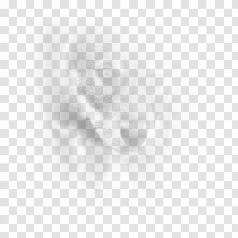 Puppy Dog Breed Snout Drawing - Closeup Transparent PNG