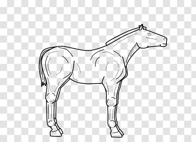 Mule Foal Stallion Bridle Colt - Horse Supplies - Lineart Transparent PNG