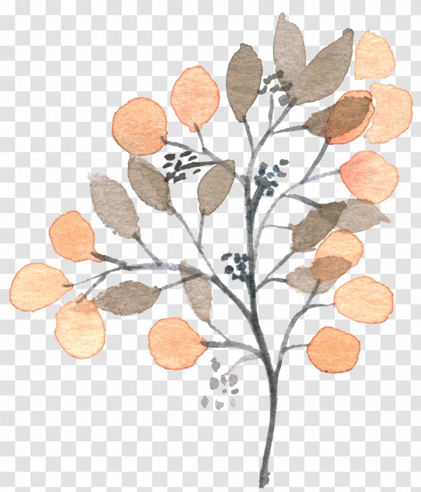 Loquat Painting - Branch - Hand-painted Plants Transparent PNG