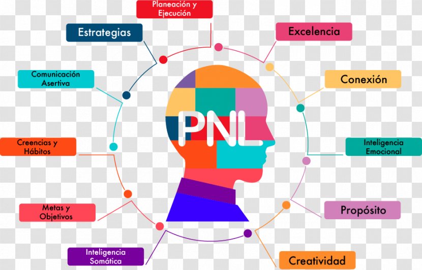 Neuro-linguistic Programming Neurolinguistics Coaching Communication - Heart - Pnl Transparent PNG