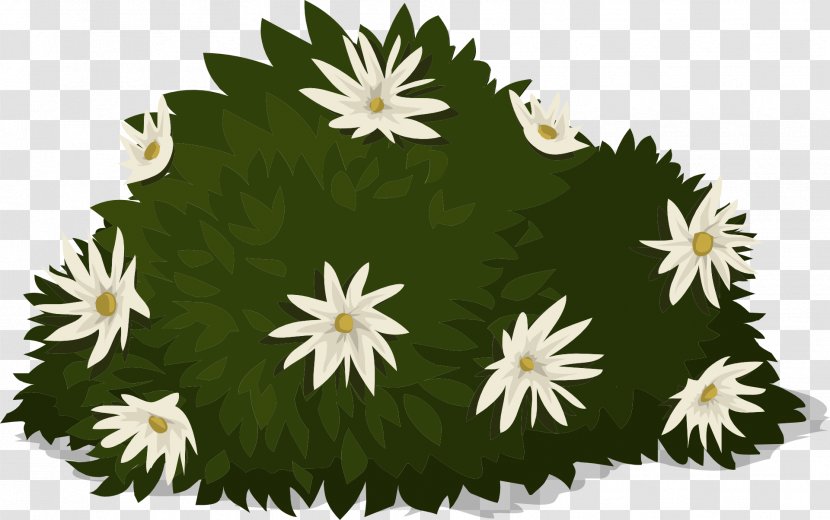 Flower White - Lumpur Vector Transparent PNG