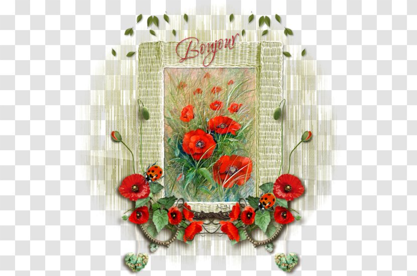 Floral Design Cut Flowers Flower Bouquet Common Poppy - Nemours - Coquelicot Transparent PNG