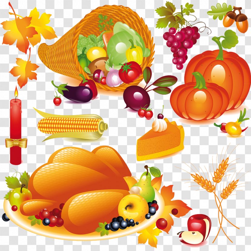 Pumpkin Pie Thanksgiving Cornucopia Clip Art - Fruit - Vector Fruits And Vegetables Transparent PNG