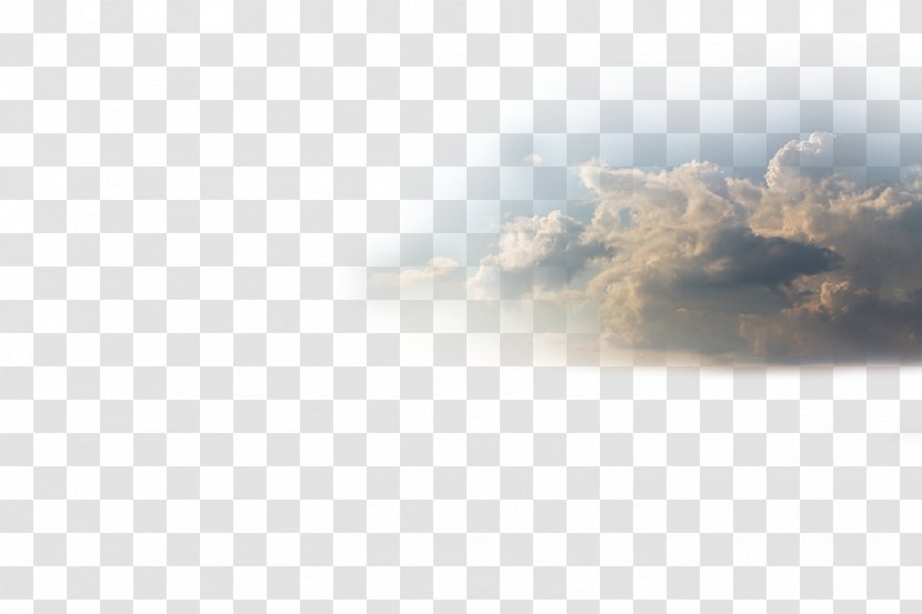 Desktop Wallpaper Atmosphere Sunlight Computer Sky Plc - Flower Transparent PNG