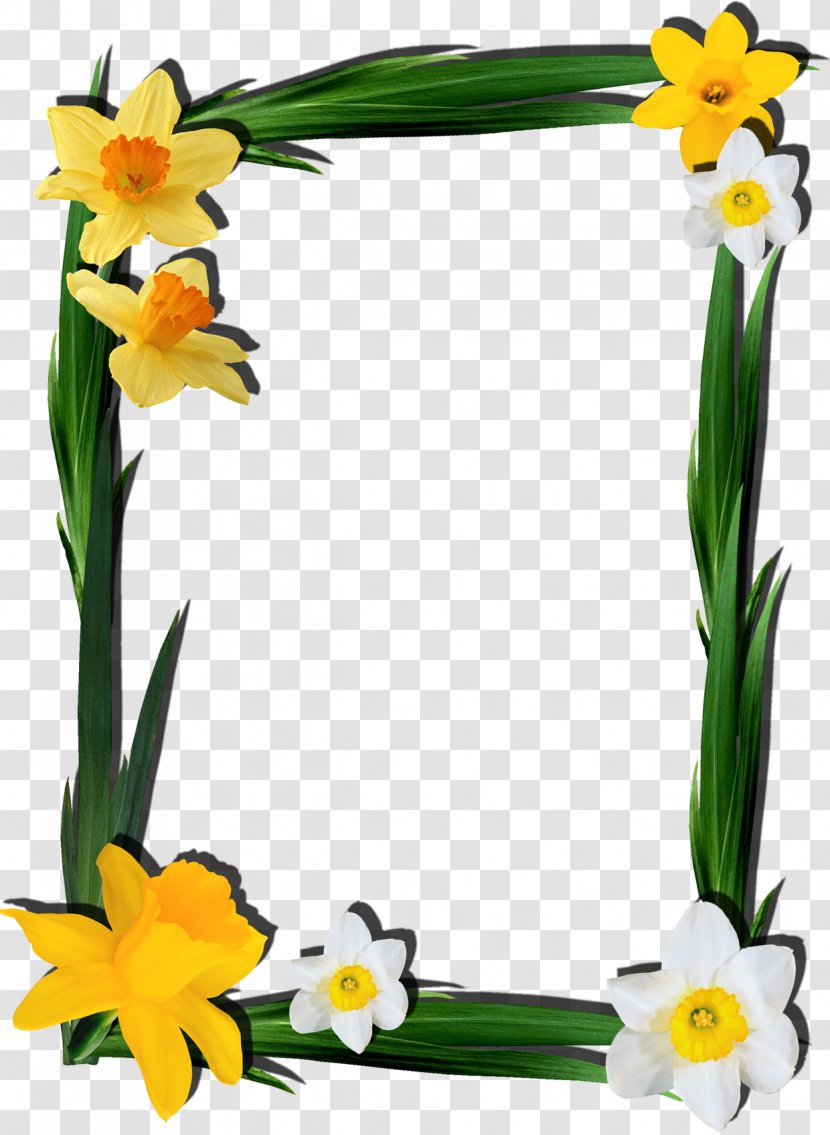 Picture Frames Clip Art Image Adobe Photoshop - Flowering Plant - Design Transparent PNG