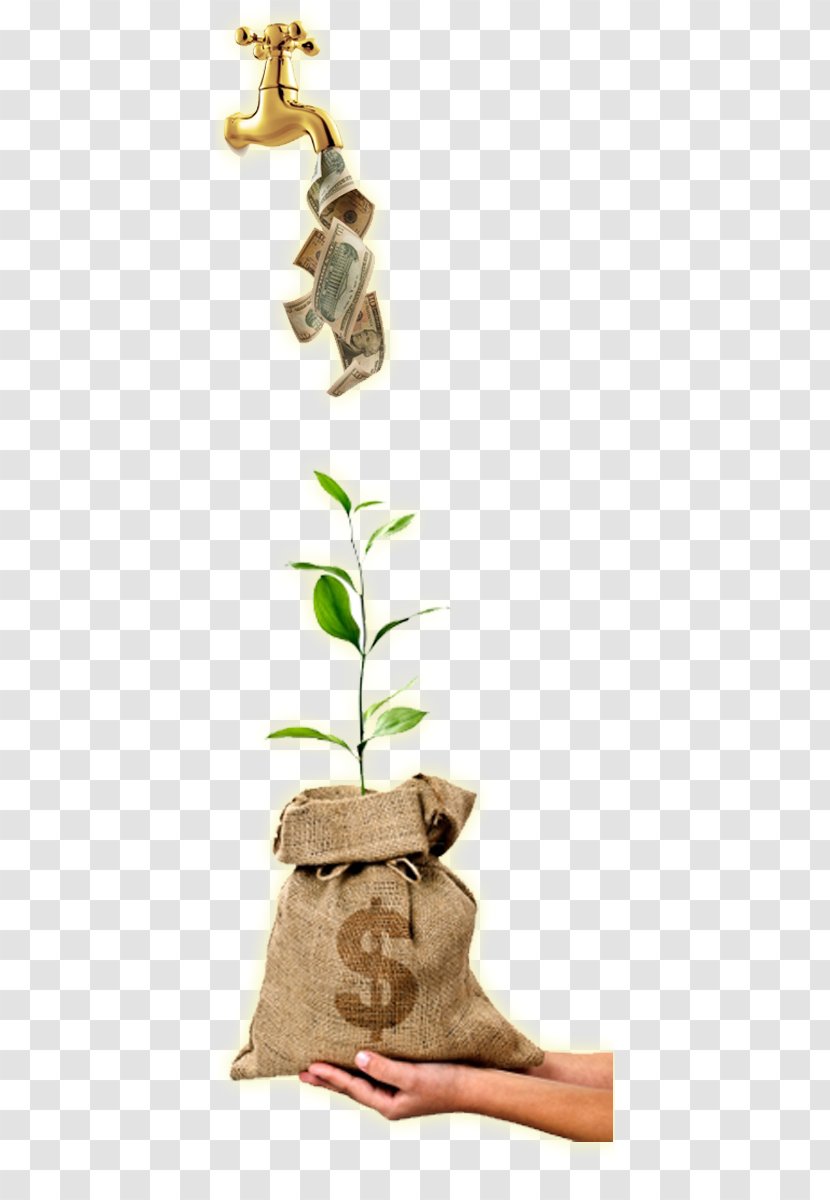 Money Bag Currency Finance Coin - Moneytree - Faucet Transparent PNG