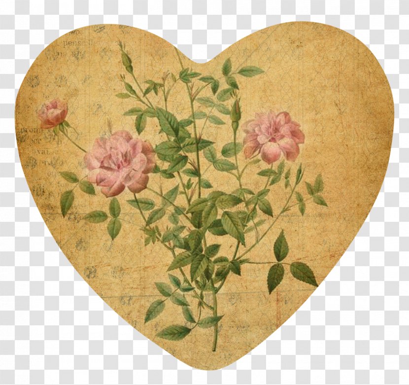 Painter Rose Art Image Painting - Beige - Vintage Card Paper Transparent PNG