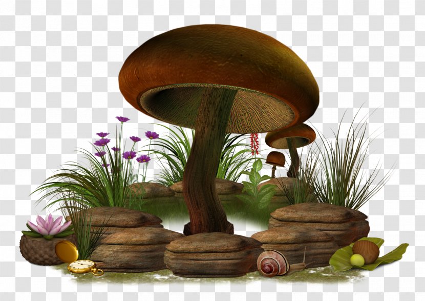 Mushroom Clip Art - Amanita Muscaria Transparent PNG