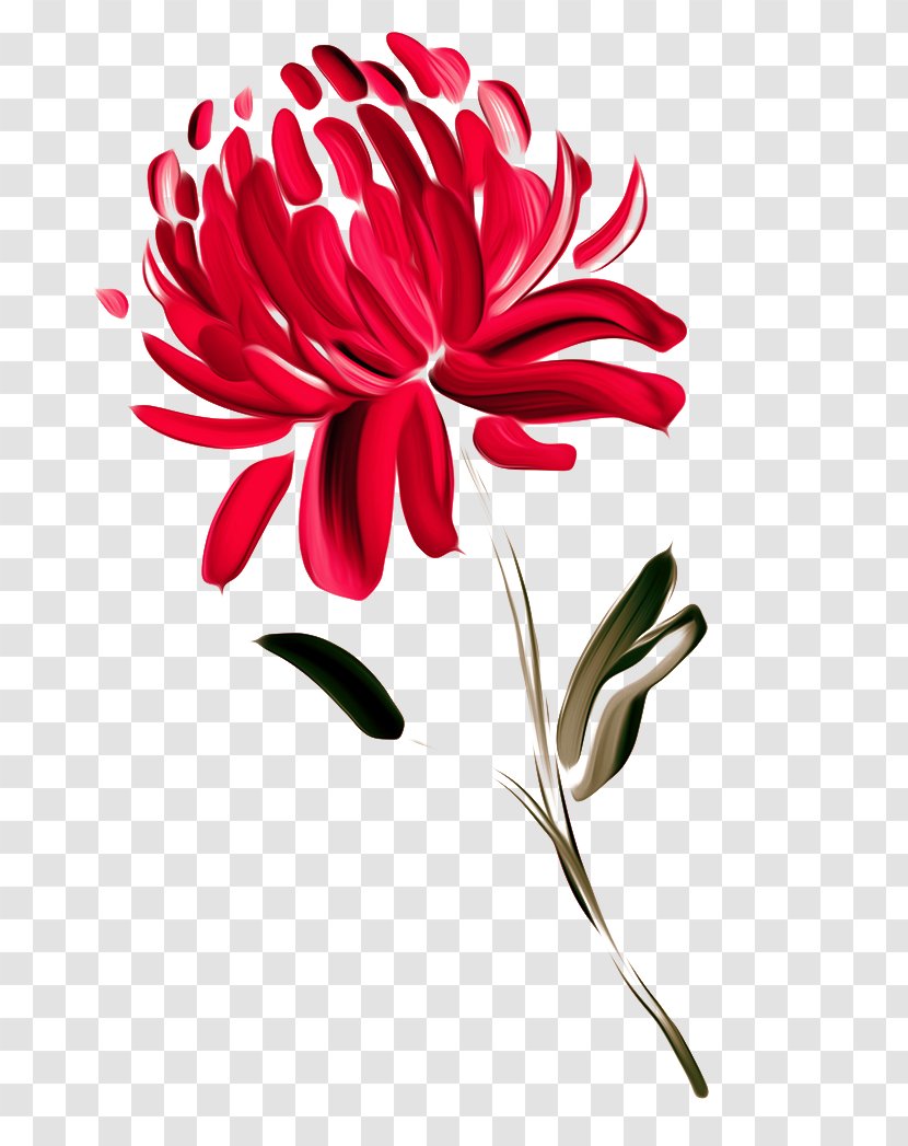 Australia Flower Painting Waratah Chrysanthemum - Chrysanths - FIG Painted Red Chrysanthemums Transparent PNG
