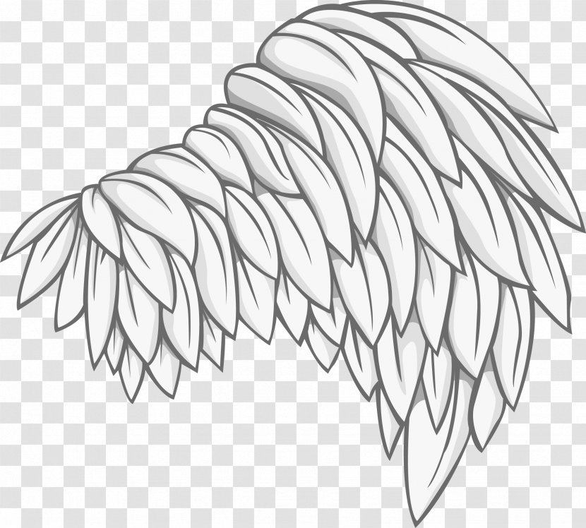 Bird Photography Drawing Illustration - Flower - Vector Wings Transparent PNG