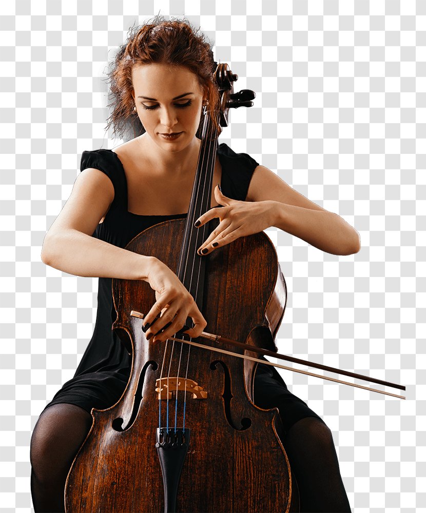 Bass Violin Double Violone Viola Cello - Flower Transparent PNG