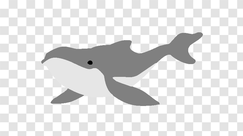 Tucuxi Cetacea Porpoise Killer Whale Humpback - Dolphin Transparent PNG