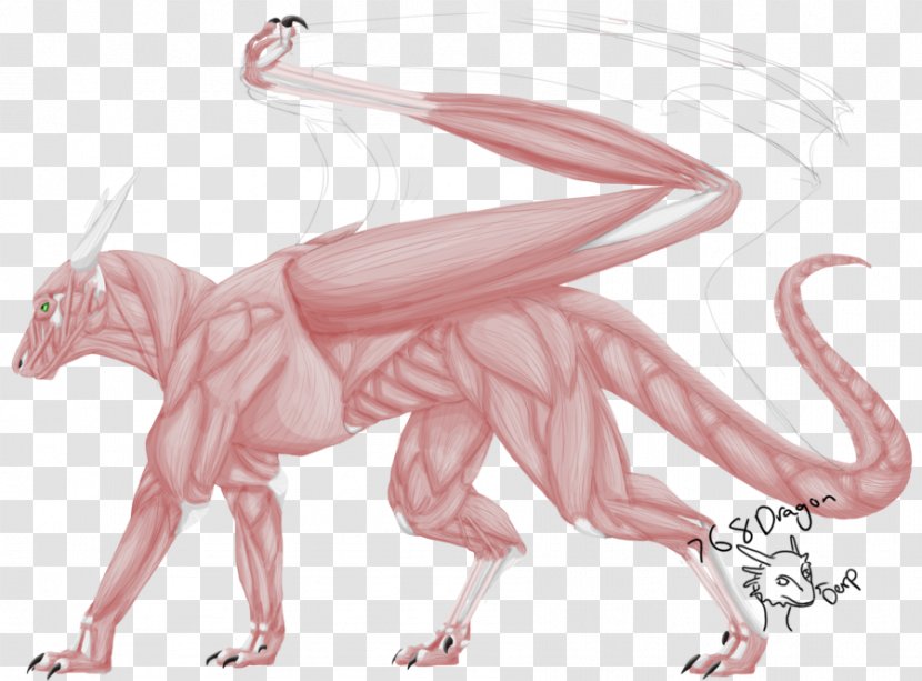 Dragon The Elder Scrolls V: Skyrim Mammal Reptile - Organism - Anatomy Muscle Transparent PNG