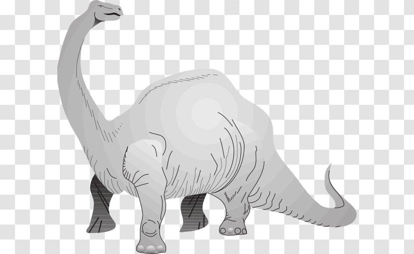 Brachiosaurus Apatosaurus Tyrannosaurus Stegosaurus Brontosaurus - Dinosaur Transparent PNG