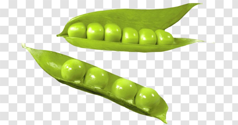 Pea Vegetable Common Bean Green - Serrano Pepper Transparent PNG