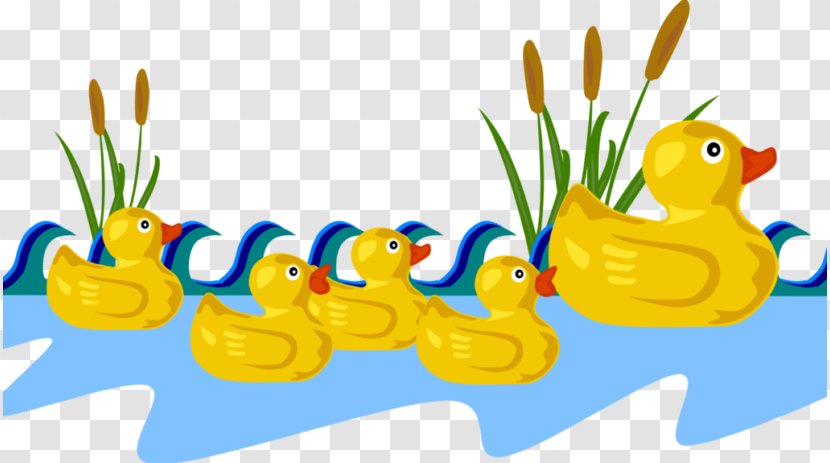 Duck Cartoon - Toy - Water Bird Transparent PNG