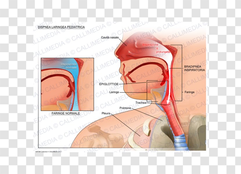 The Nightmare Ear Dyspnea Larynx Medicine - Watercolor Transparent PNG